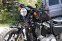 Обява за продажба на Harley-Davidson Sportster Iron 883 ~30 499 лв. - изображение 5