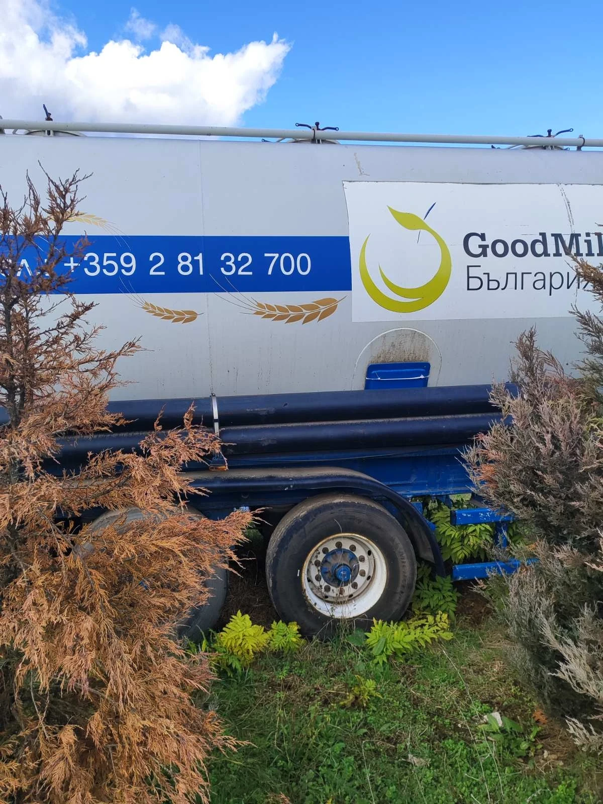  Spitzer | Mobile.bg   10