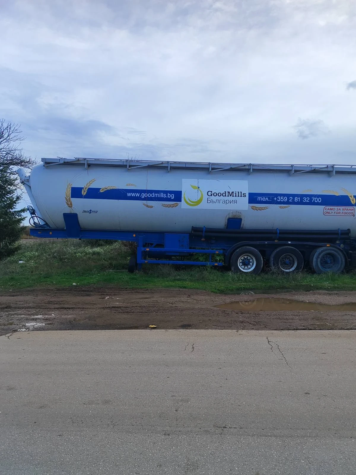  Spitzer | Mobile.bg   4