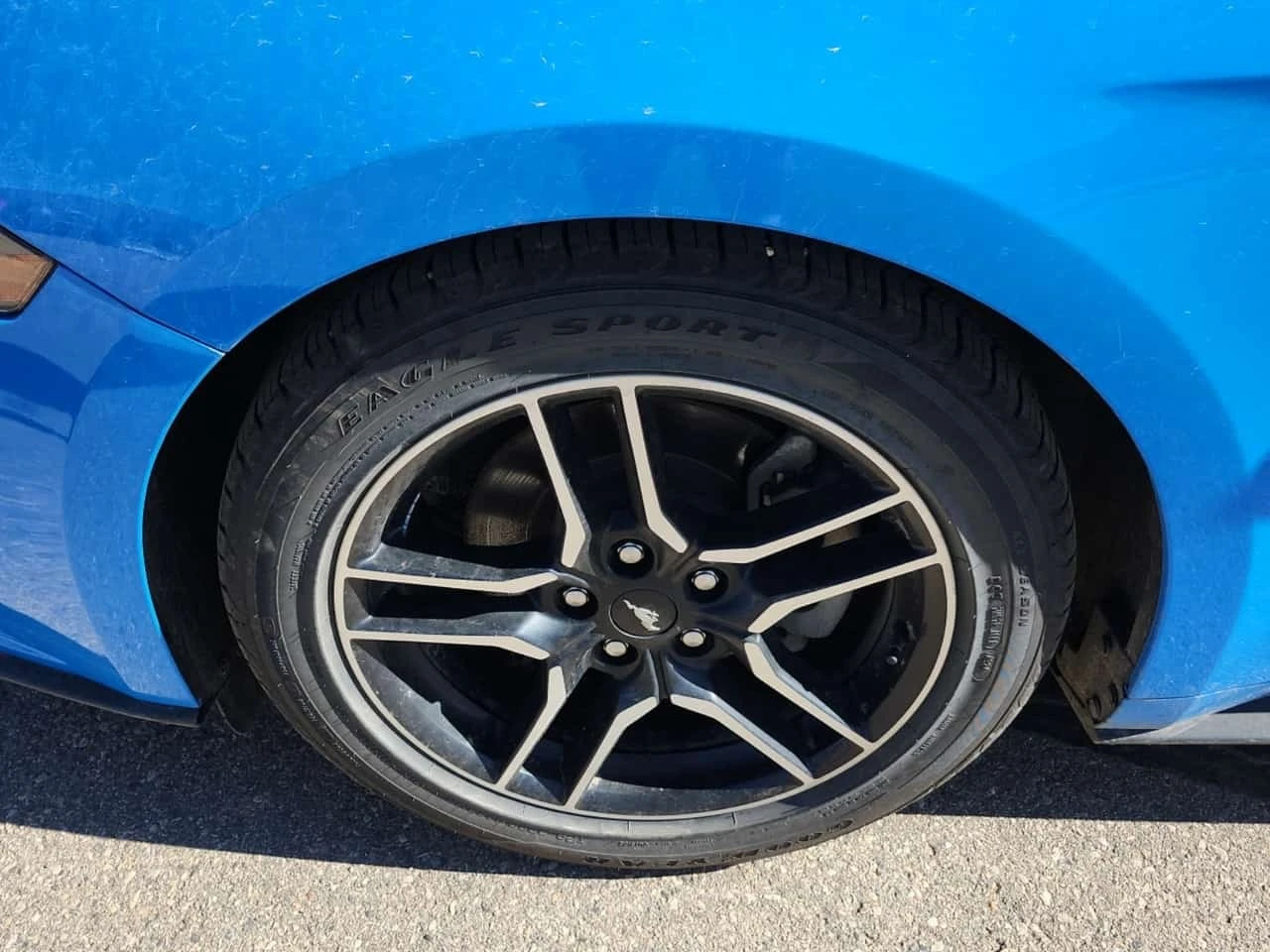 Ford Mustang ECOBOOST PREMIUM * CARFAX * ���������� *  | Mobile.bg � ����������� 5