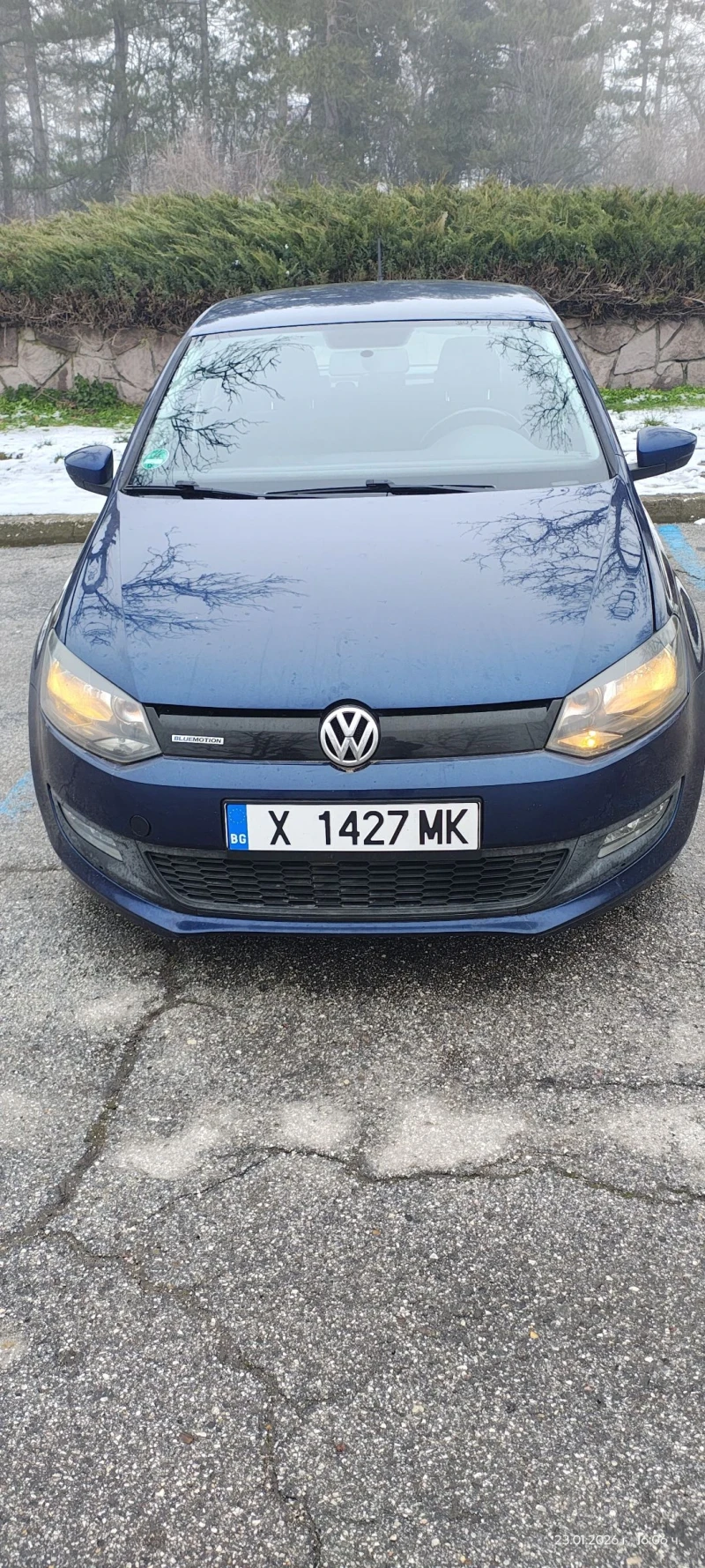 VW Polo