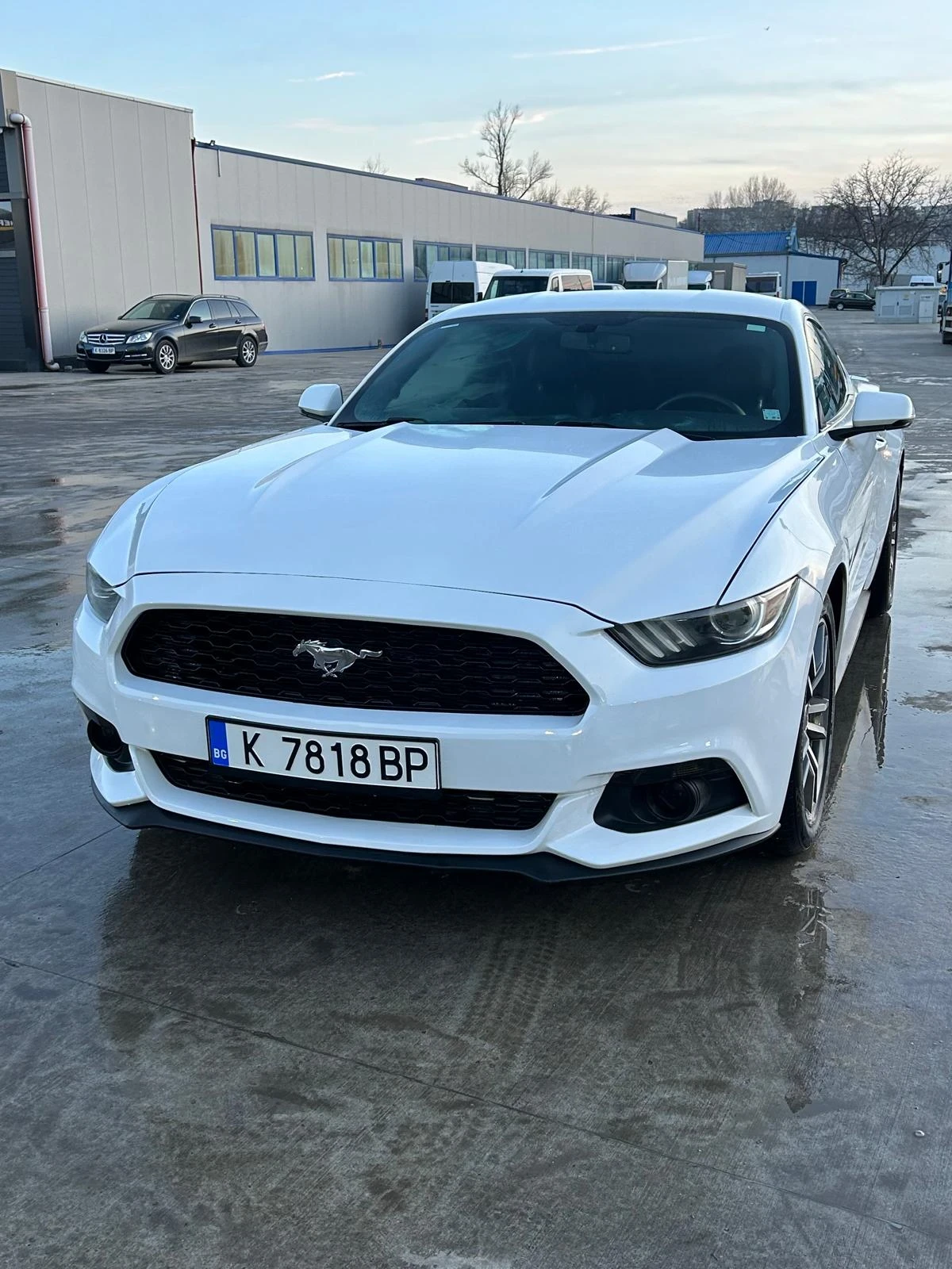 Ford Mustang  - изображение 4