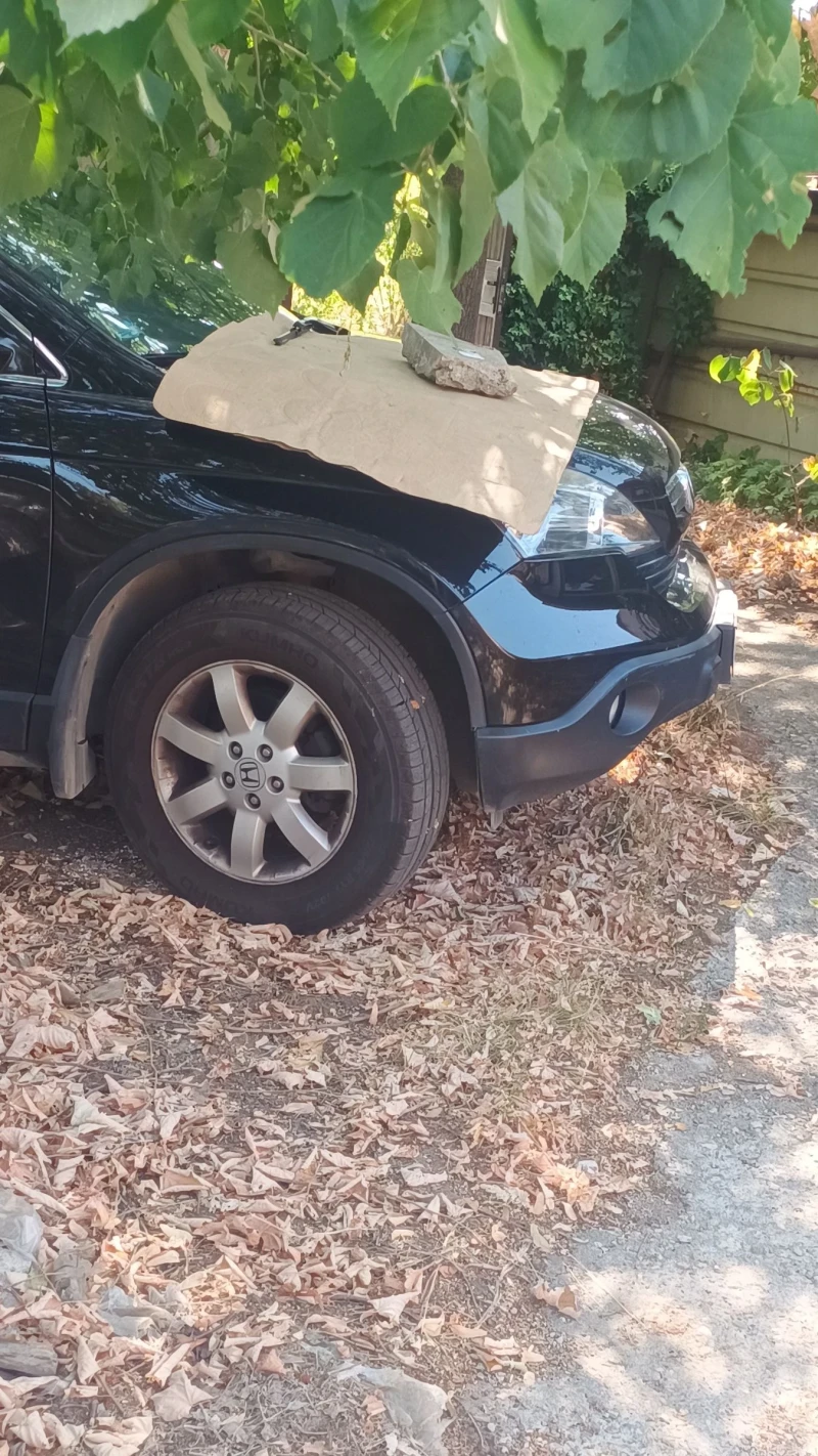 Honda Cr-v, снимка 7 - Автомобили и джипове - 52605362