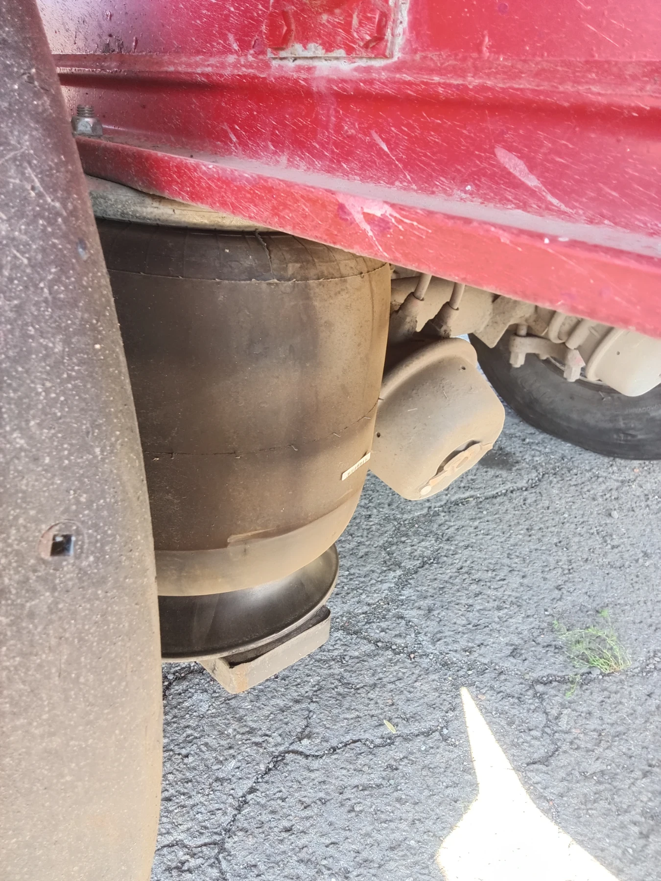  Benalu | Mobile.bg   6