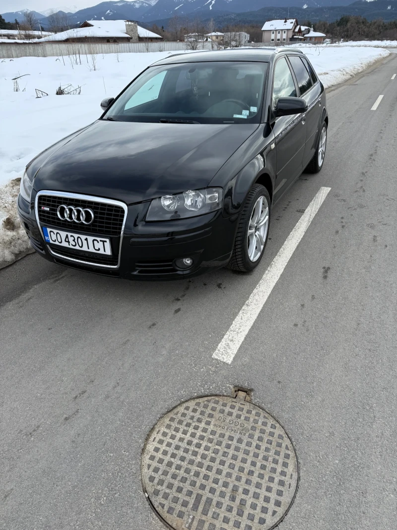 Audi A3 2 TDI 170 hp, снимка 1 - Автомобили и джипове - 48816100