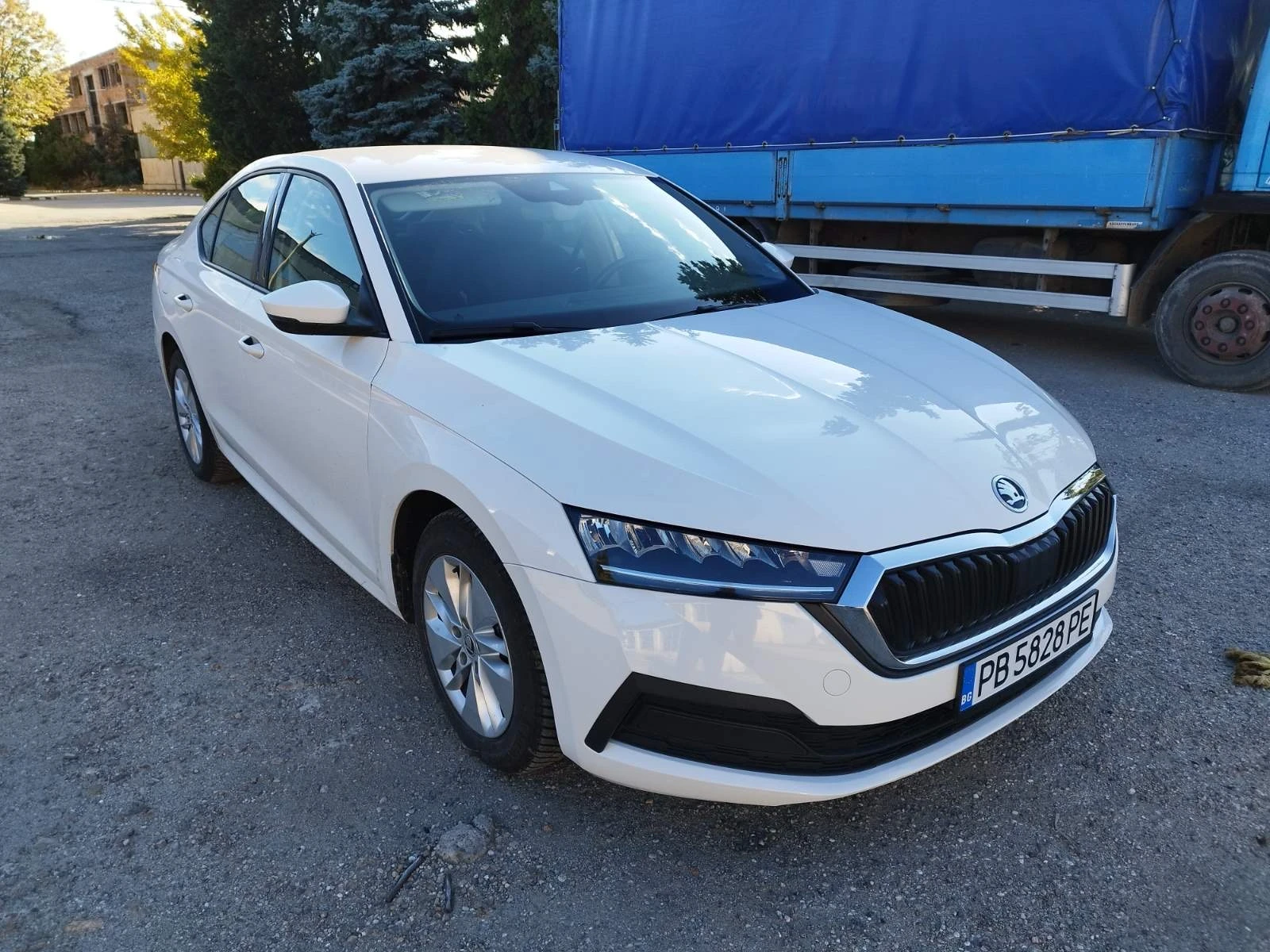 Skoda Octavia | Mobile.bg � ����������� 1
