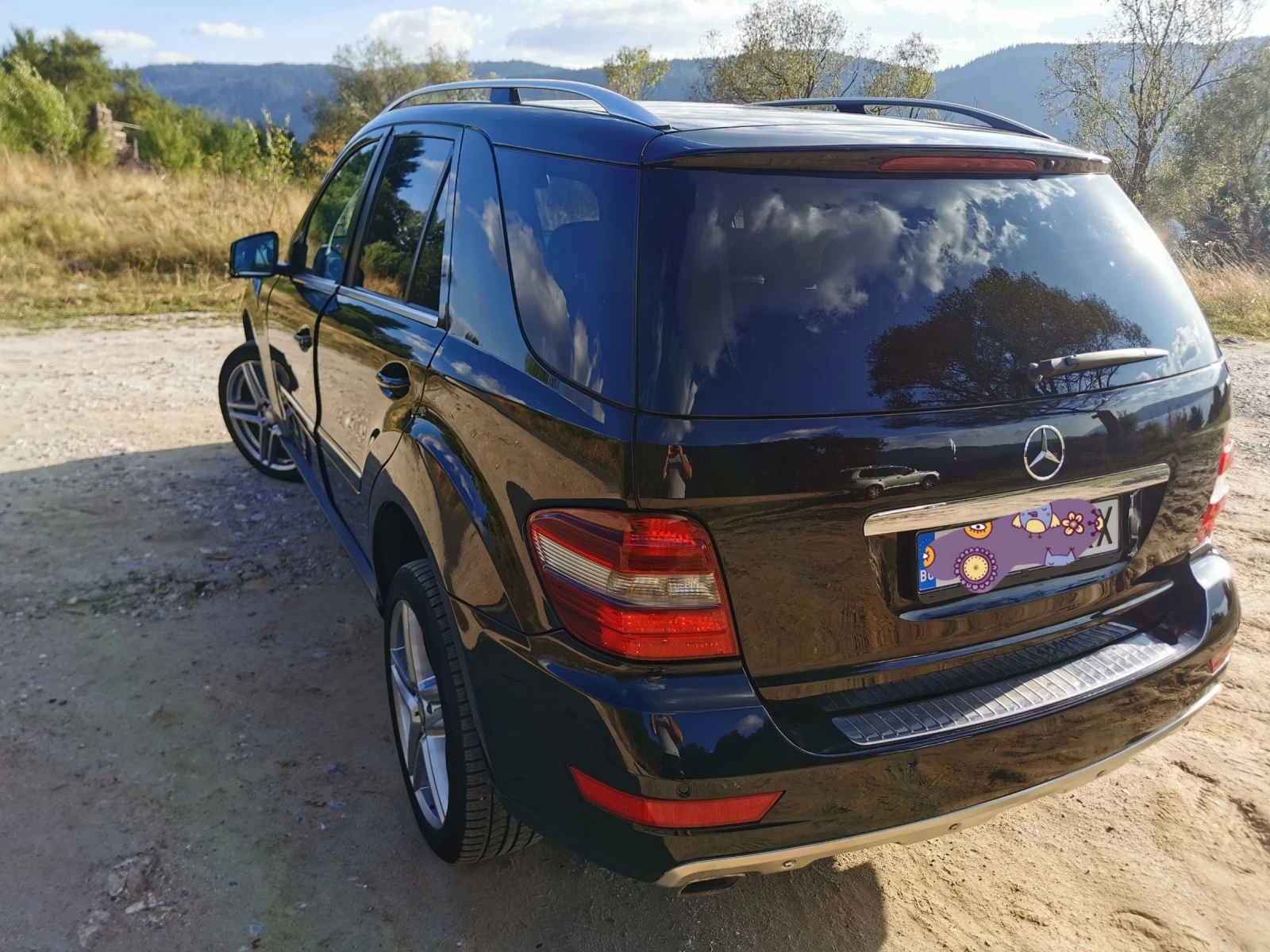 Mercedes-Benz ML 350 350 - изображение 4