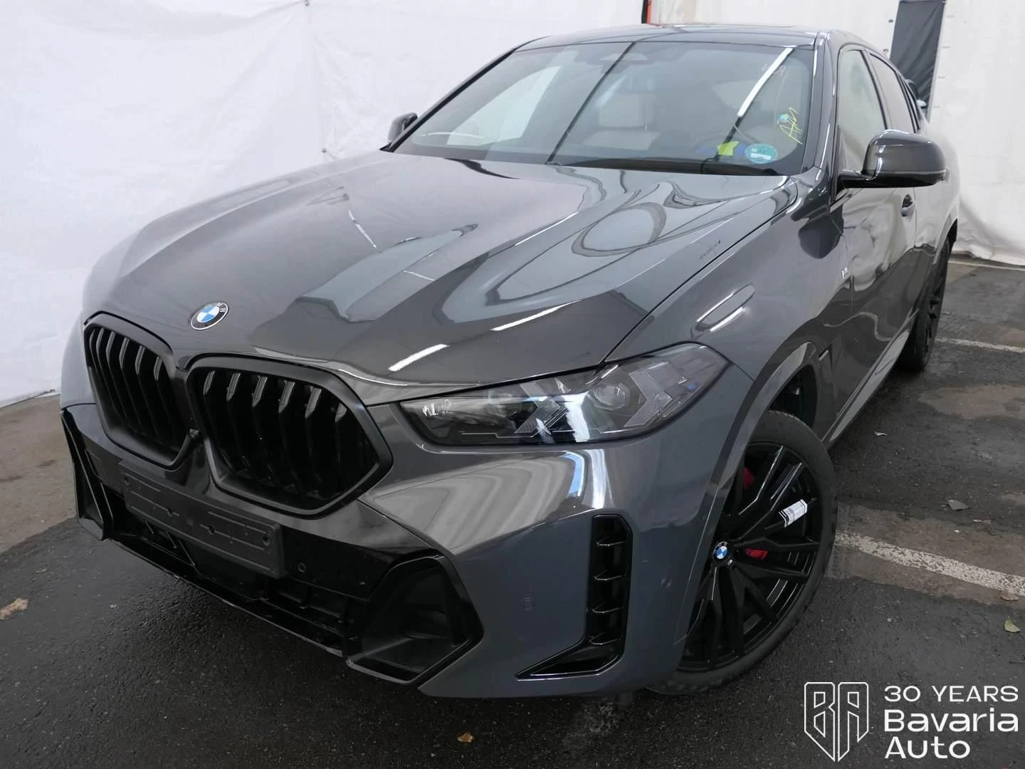 BMW X6 30d xDrive Sportautomatic