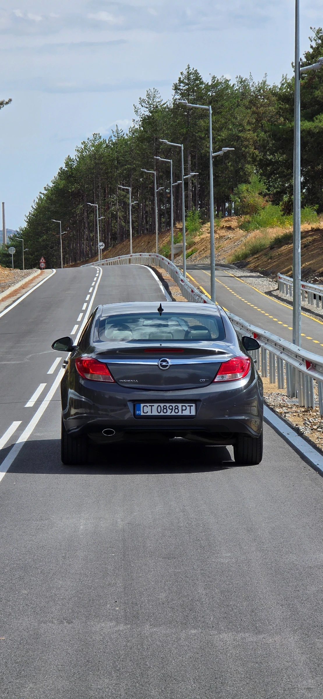 Opel Insignia, снимка 14 - Автомобили и джипове - 56082479