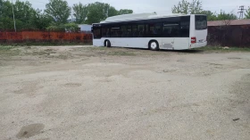 Man Lion S Classic �� �����  | Mobile.bg � ����� ������ 3