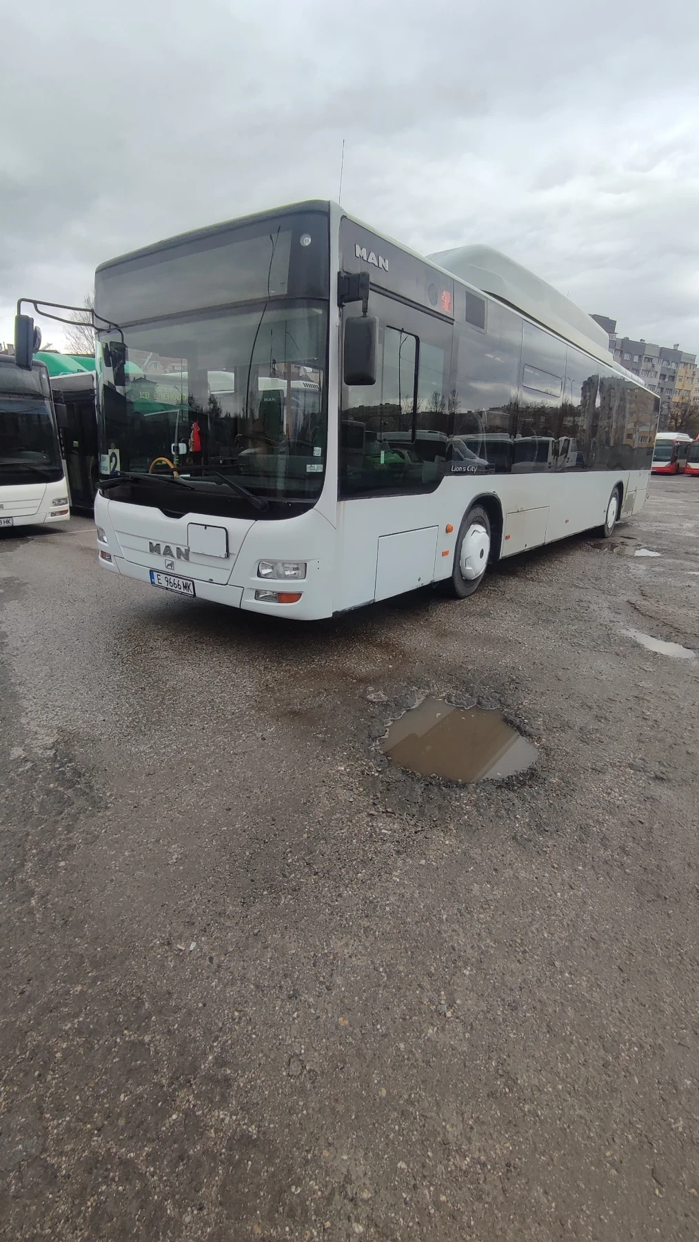 Man Lion S Classic �� �����  | Mobile.bg � ����������� 1