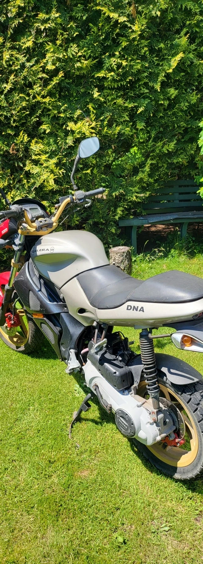 Gilera DNA