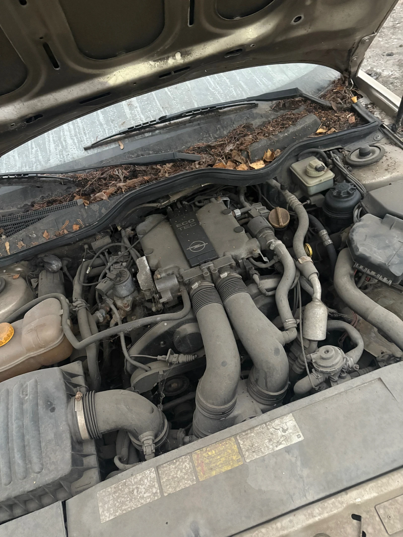 Opel Omega X25xe, снимка 1