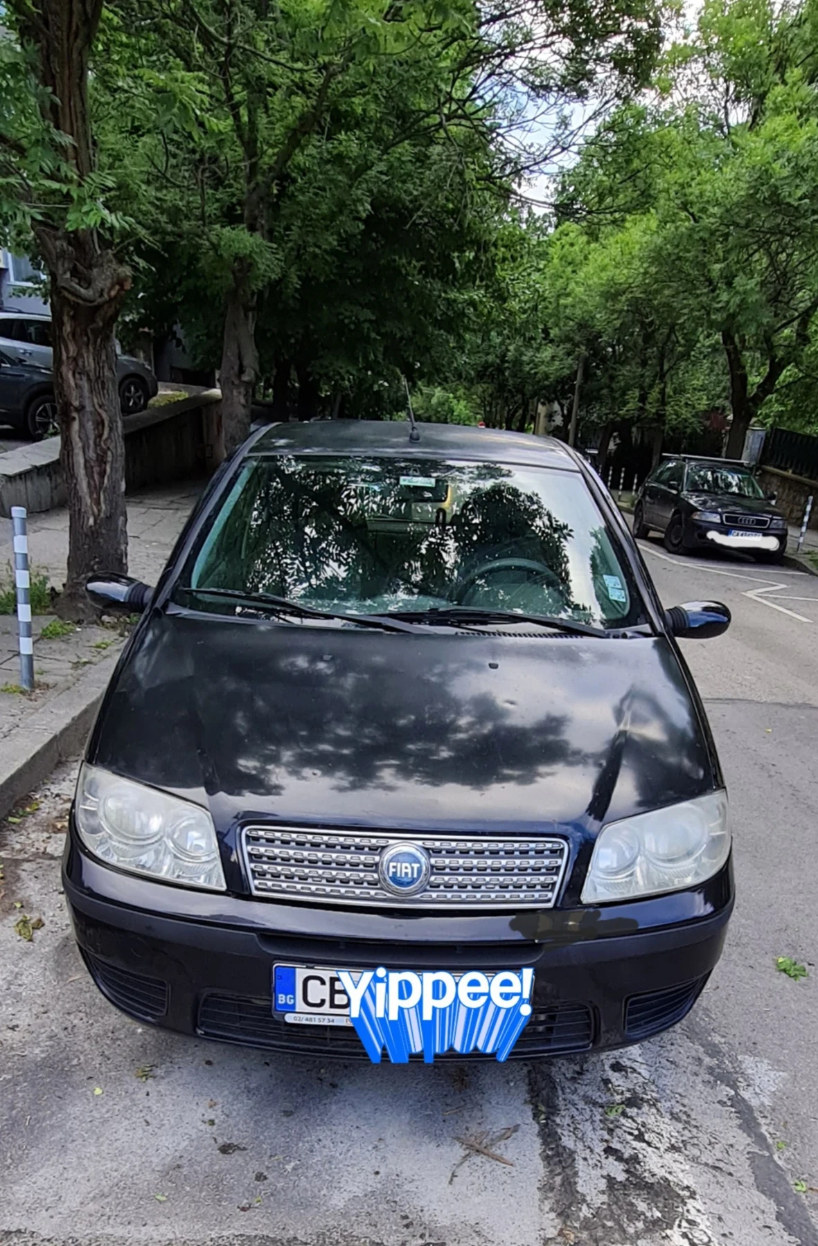 Fiat Punto  - изображение 2