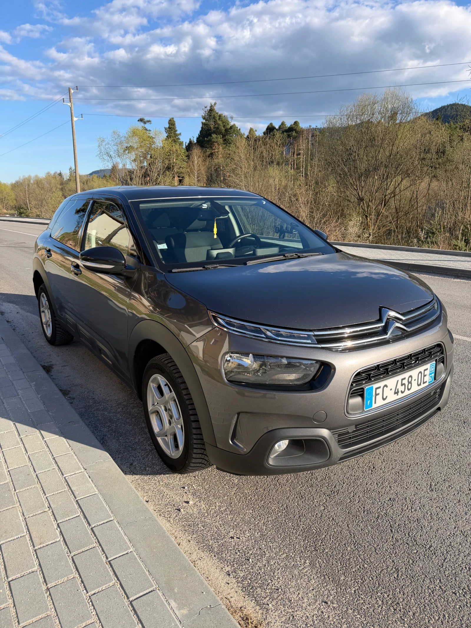 Citroen C4 Cactus 1.5 Blue-HDI Avtomat Euro 6