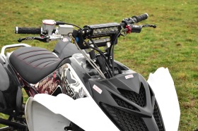 Yamaha Raptor, снимка 5 - Мотоциклети и мототехника - 46079375