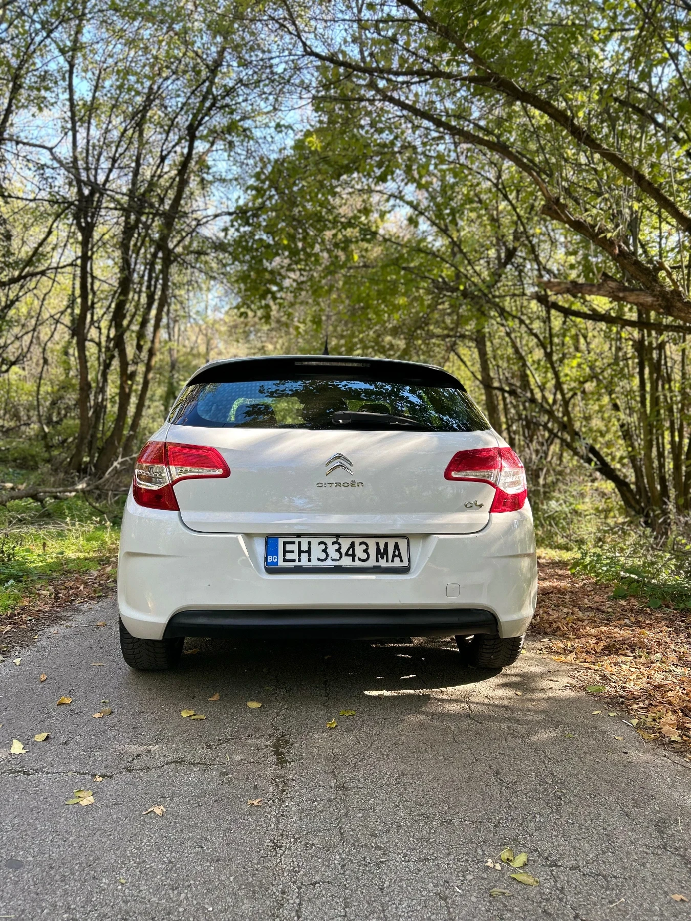 Citroen C4  - изображение 2