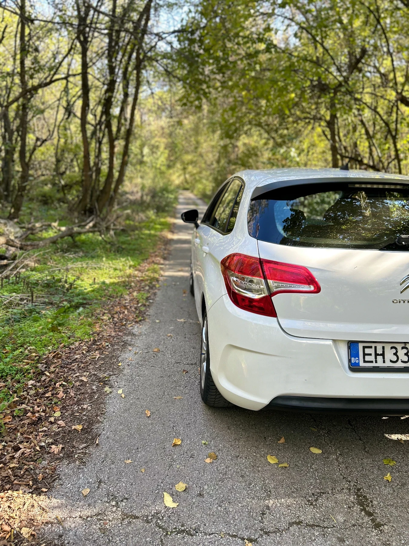 Citroen C4  - изображение 3