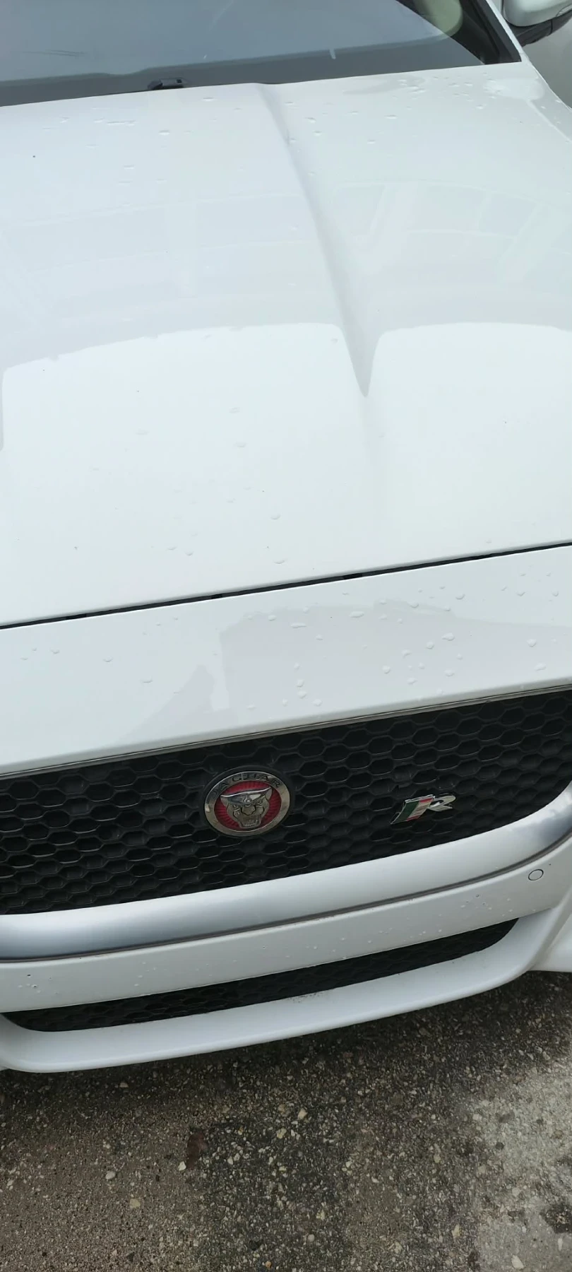 Jaguar XE, снимка 2 - Автомобили и джипове - 54808626