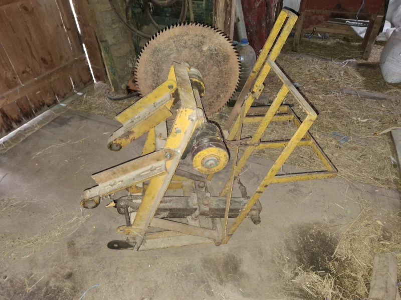 Друг вид Български