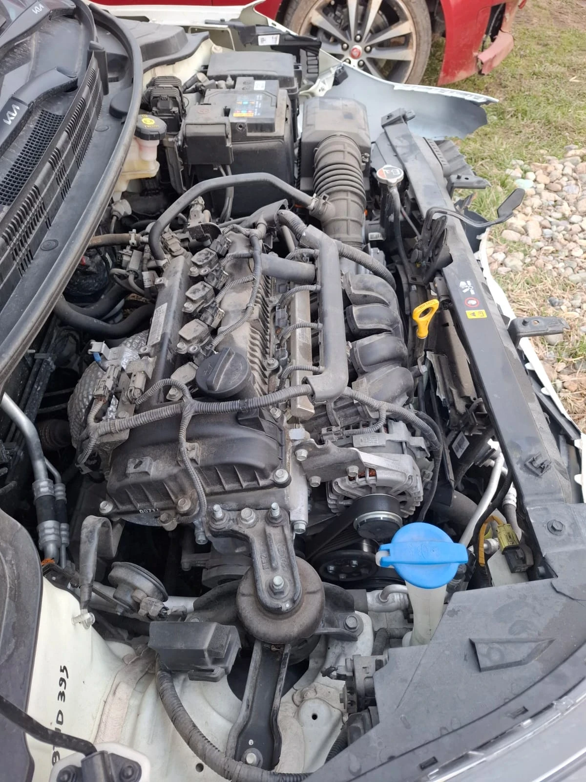 Kia Rio  - изображение 5