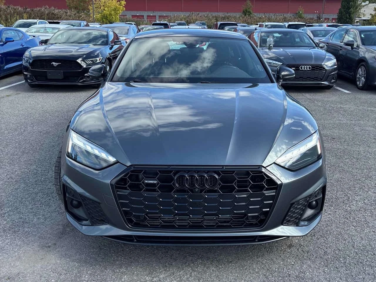 Audi A5 * Progressiv * CARFAX * ОПЦИЯ ЗА ФИНАНСИРАНЕ, снимка 6 - Автомобили и джипове - 56213996