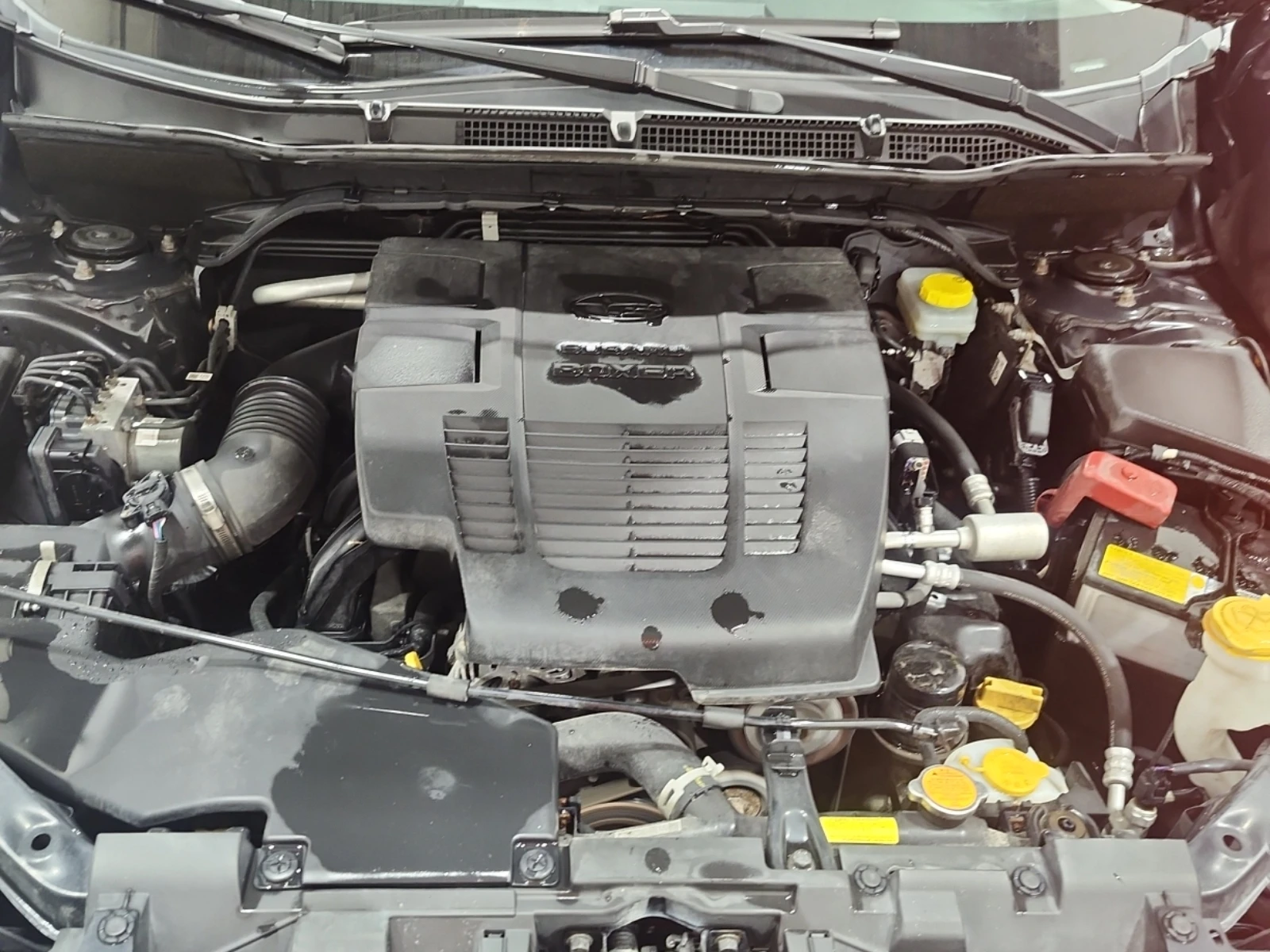 Subaru Forester Cvt Limited, ���������� | Mobile.bg � ����������� 16