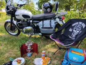 Triumph Bonneville T120 Diamant  | Mobile.bg    13