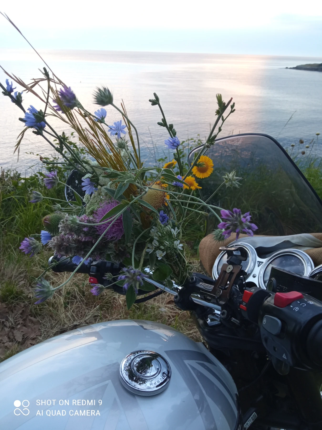 Triumph Bonneville T120 Diamant  | Mobile.bg   17