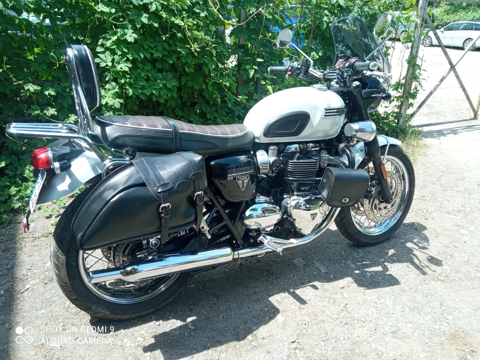Triumph Bonneville T120 Diamant  - изображение 2