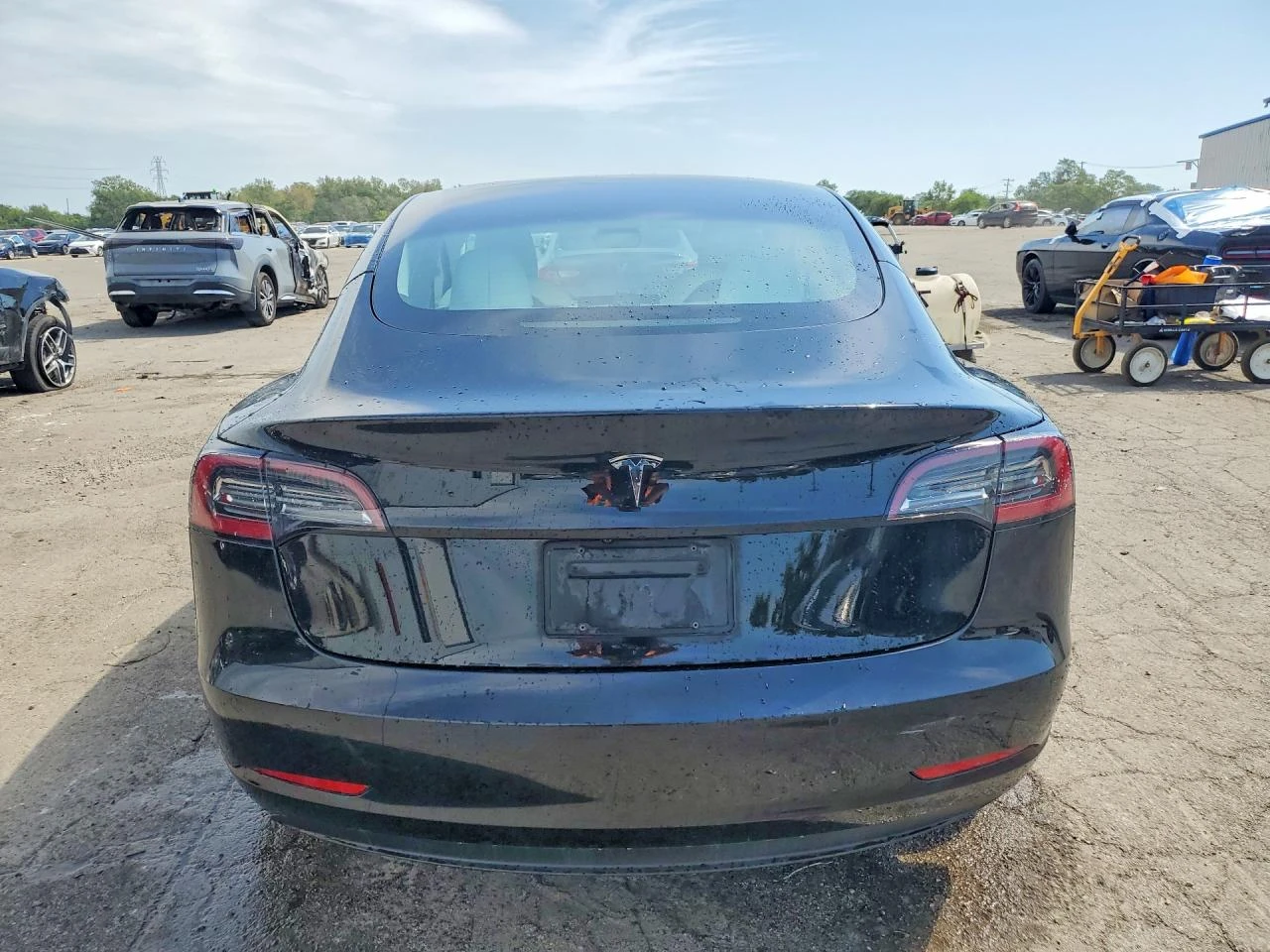 Tesla Model 3, снимка 6 - Автомобили и джипове - 56407681