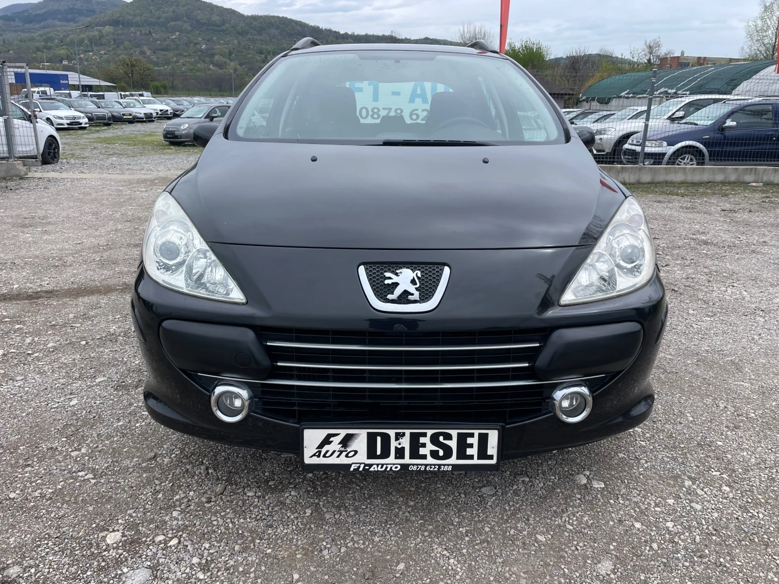 Peugeot 307 1.6HDI-90-FEIS-ITALIA - изображение 2