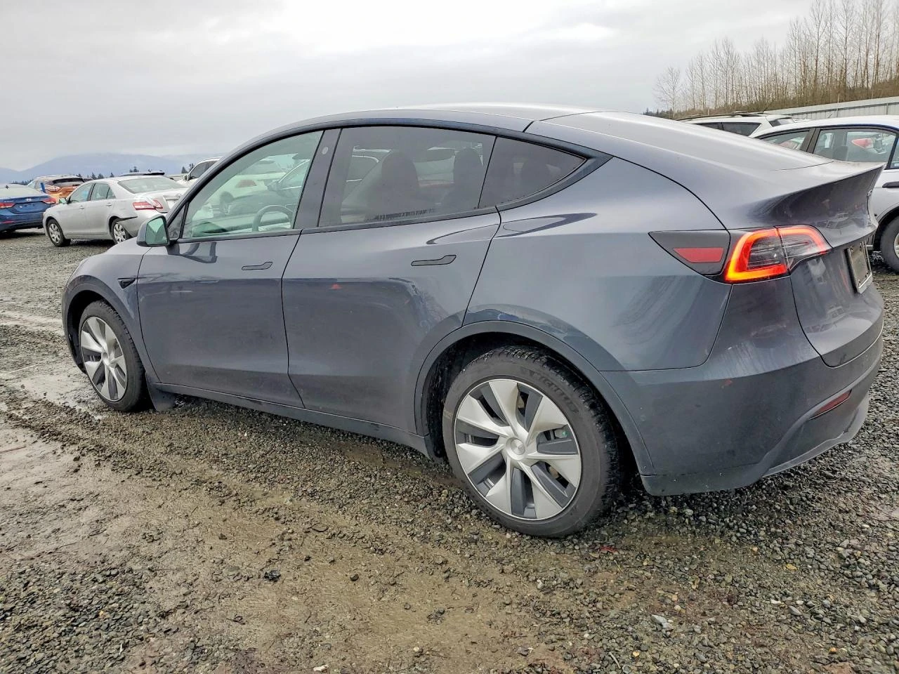 Tesla Model Y | Mobile.bg � ����������� 2