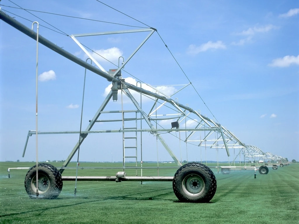     Reinke | Mobile.bg   1