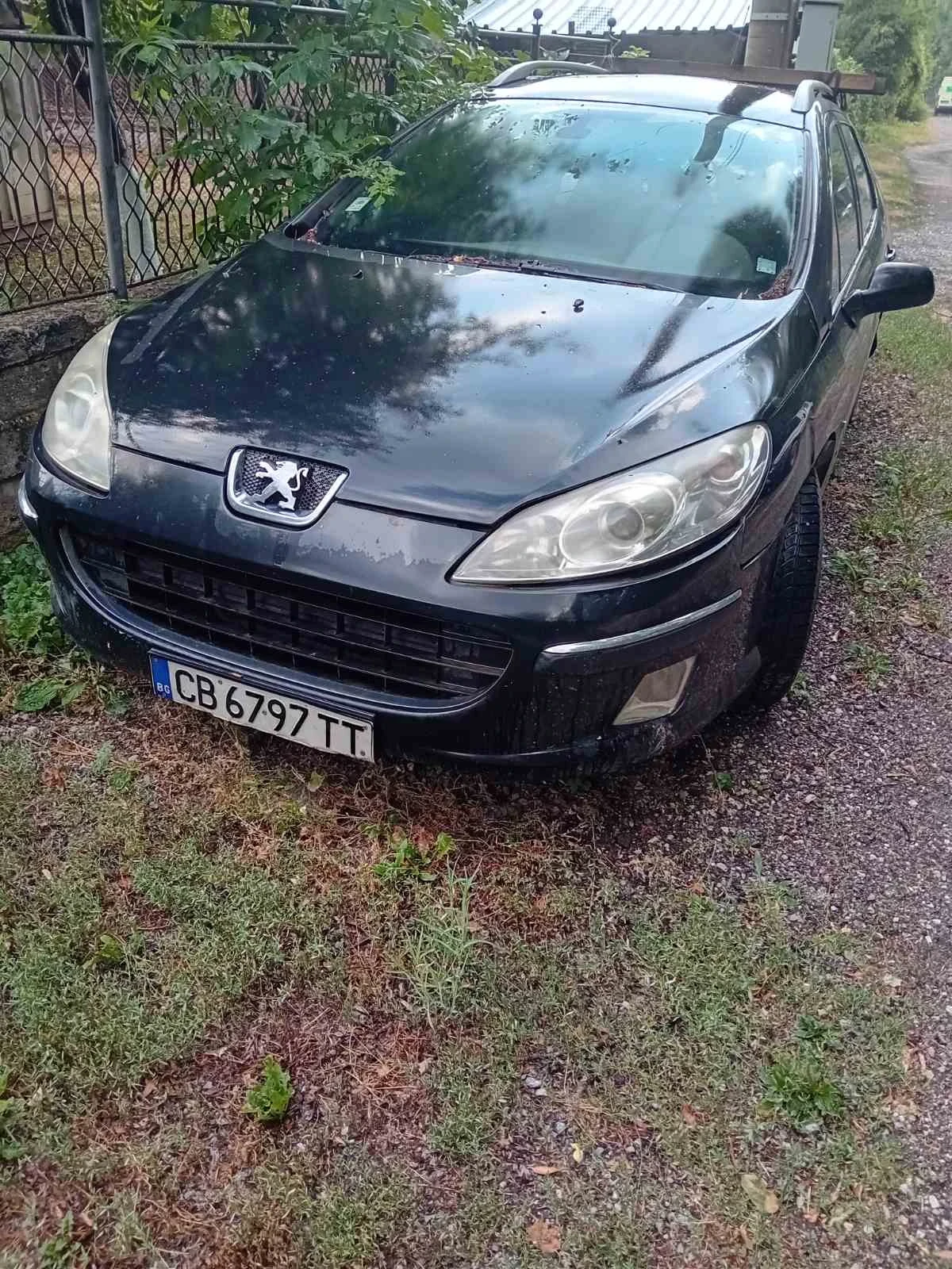Peugeot 407, снимка 1