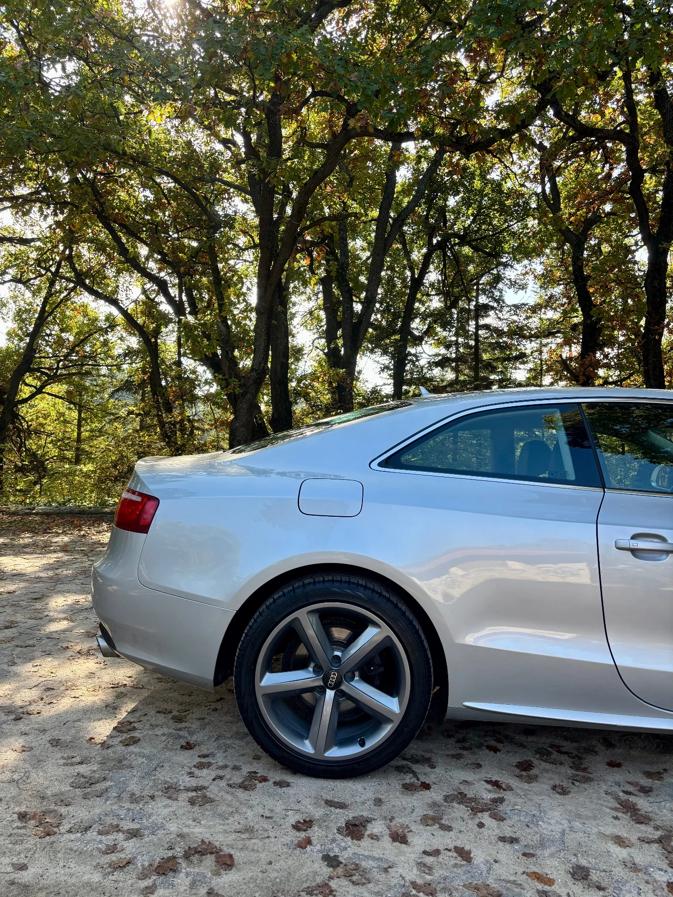 Audi A5 Audi A5 3.0TDI | Mobile.bg   6