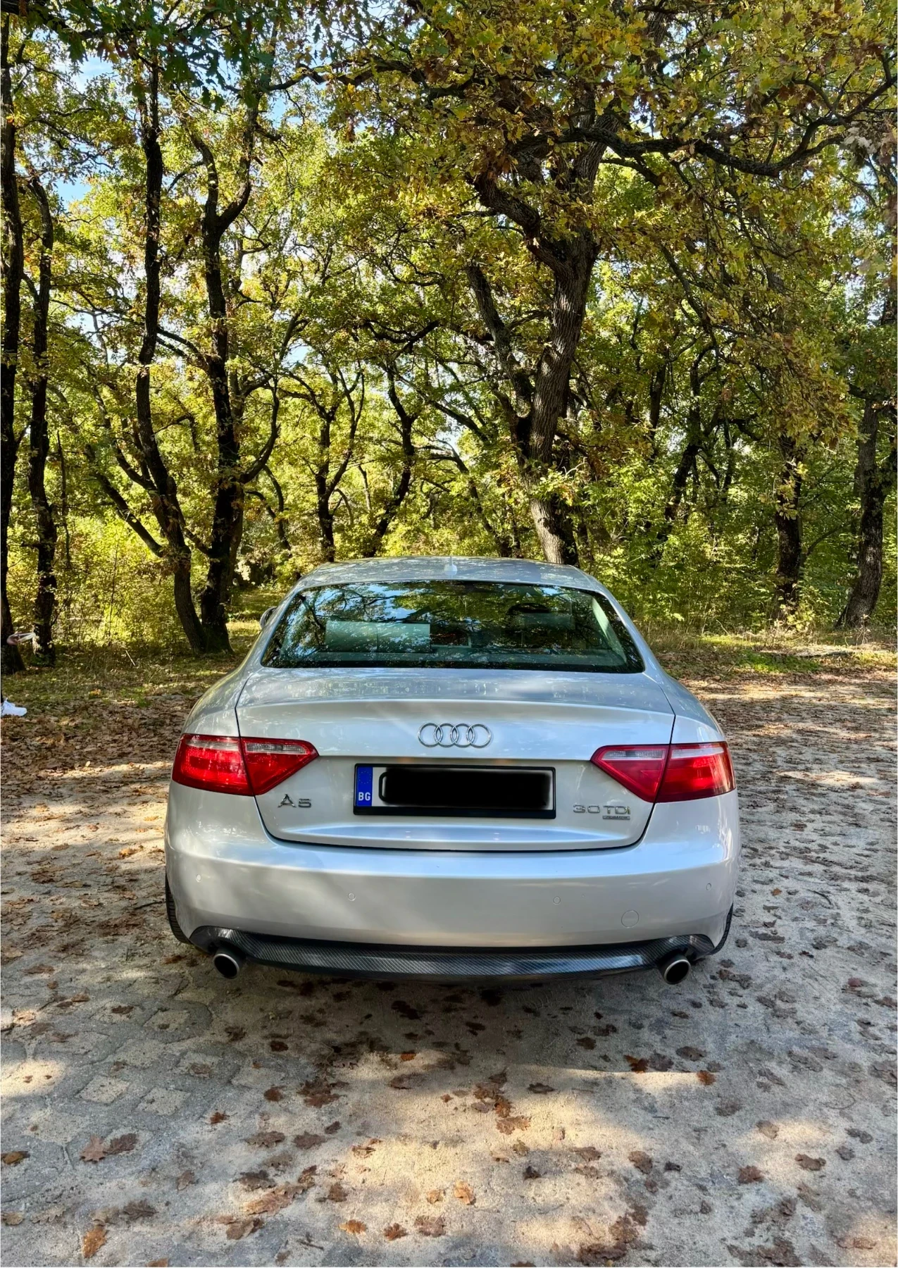 Audi A5 Audi A5 3.0TDI | Mobile.bg   5