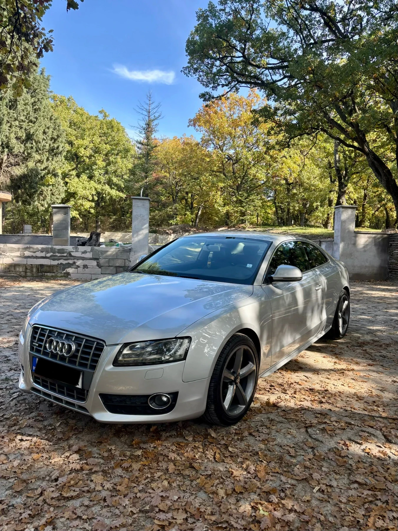 Audi A5 Audi A5 3.0TDI | Mobile.bg   1
