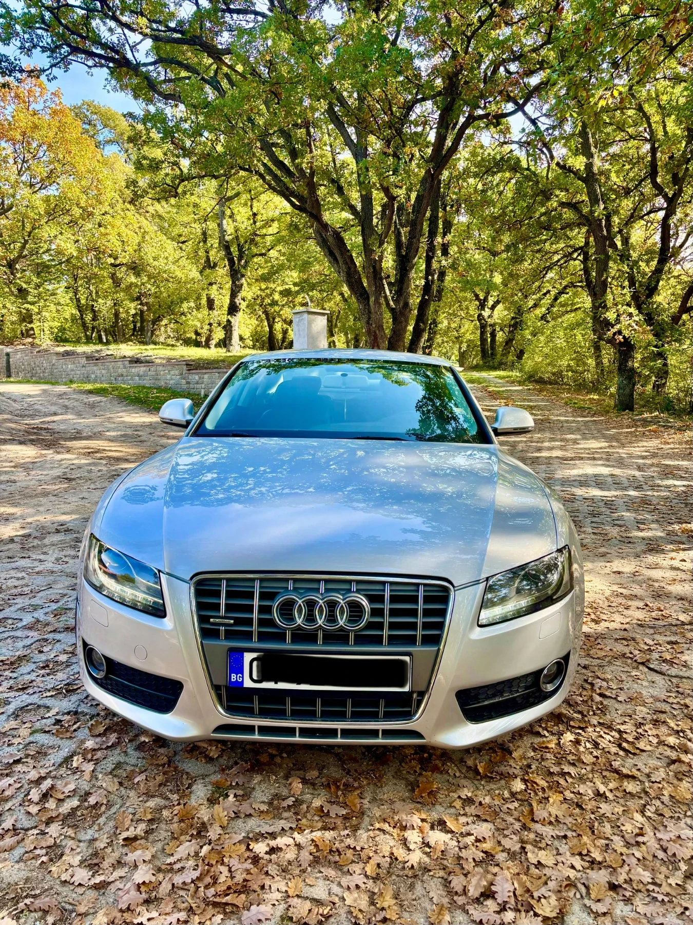 Audi A5 Audi A5 3.0TDI | Mobile.bg   8