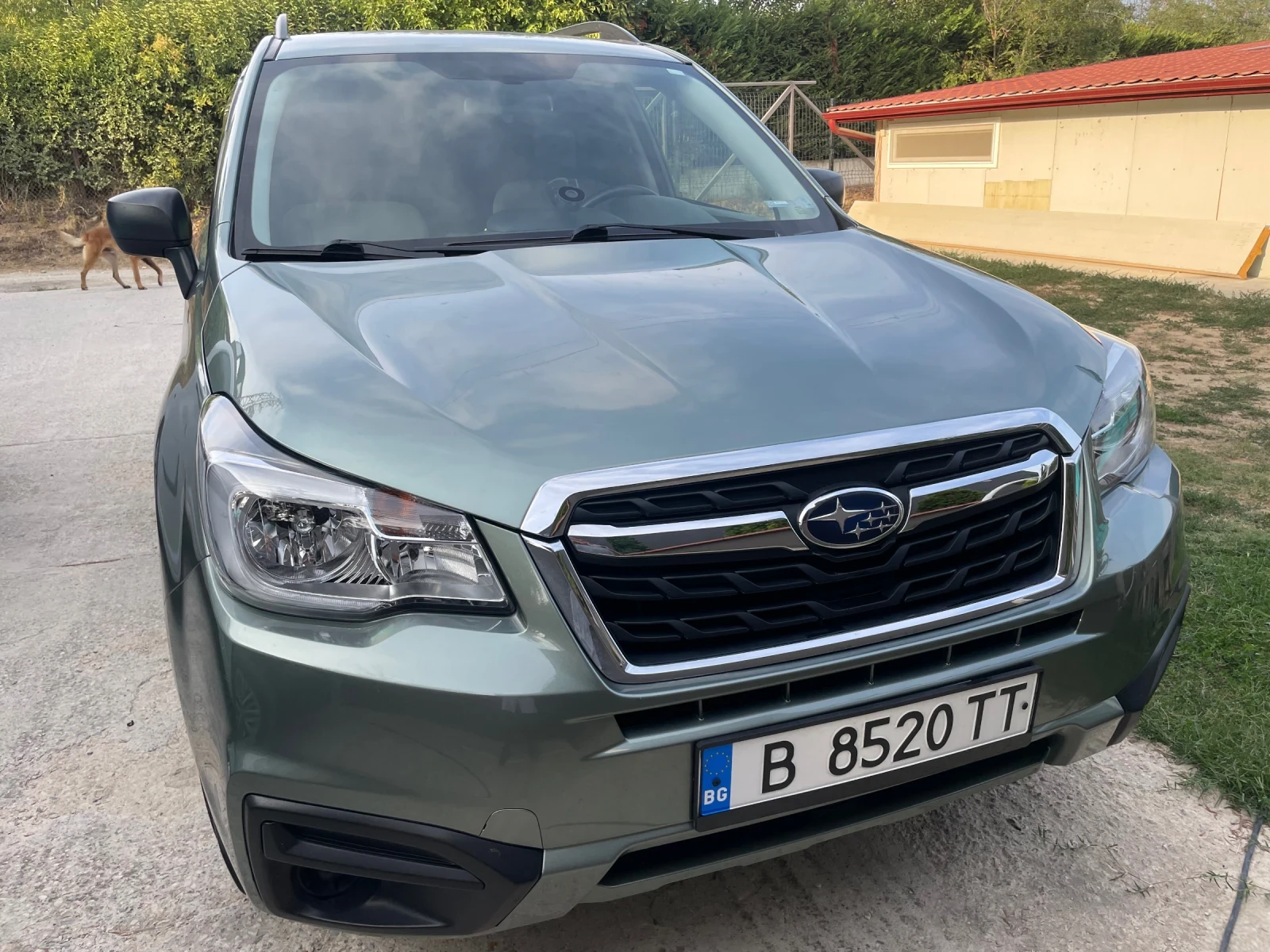 Subaru Forester  - изображение 8