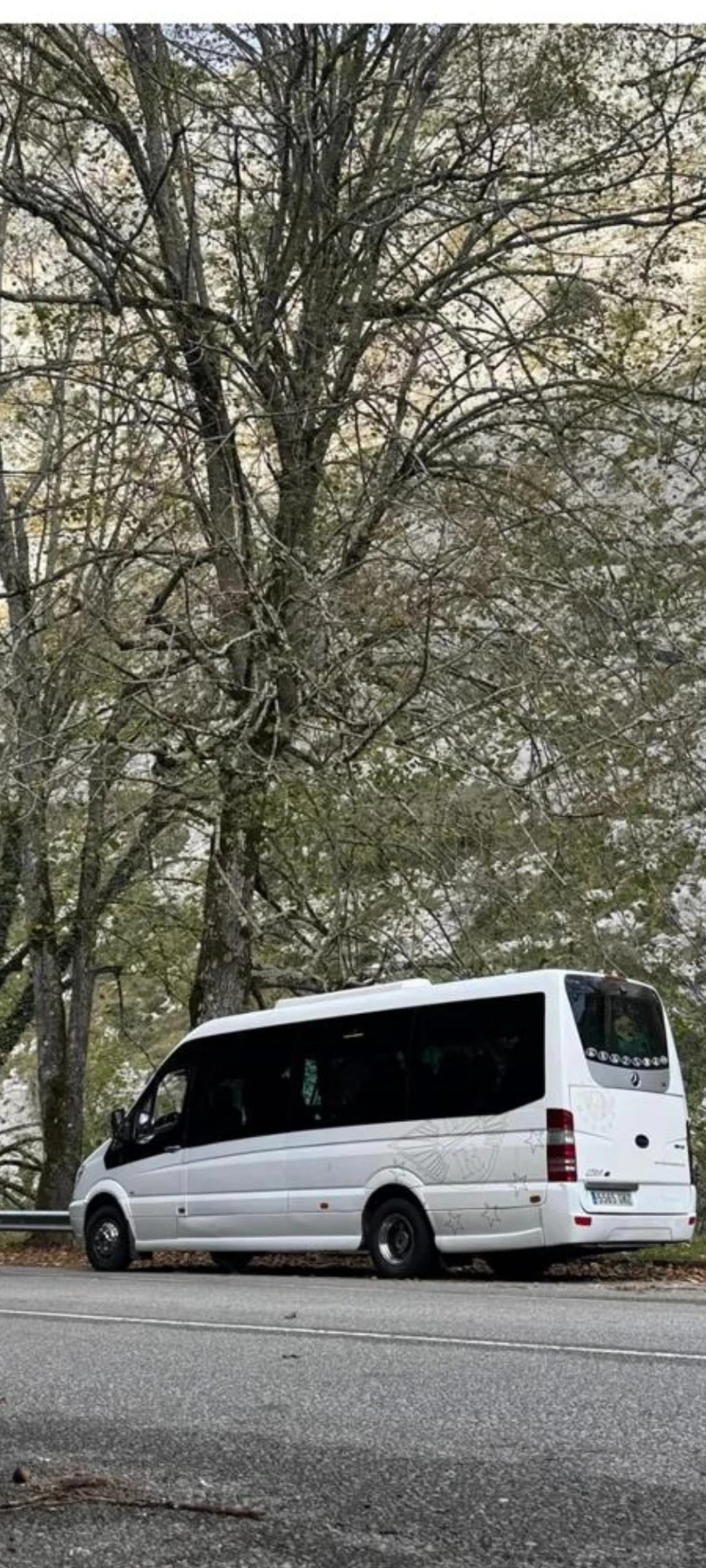 Mercedes-Benz Sprinter 518, снимка 2 - Бусове и автобуси - 53925784