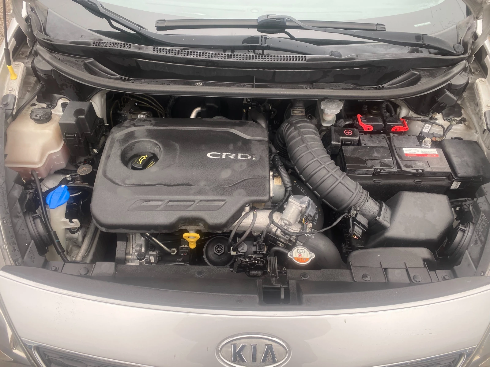 Kia Rio 1.2CRDI Multimedia ��������� | Mobile.bg � ����������� 17