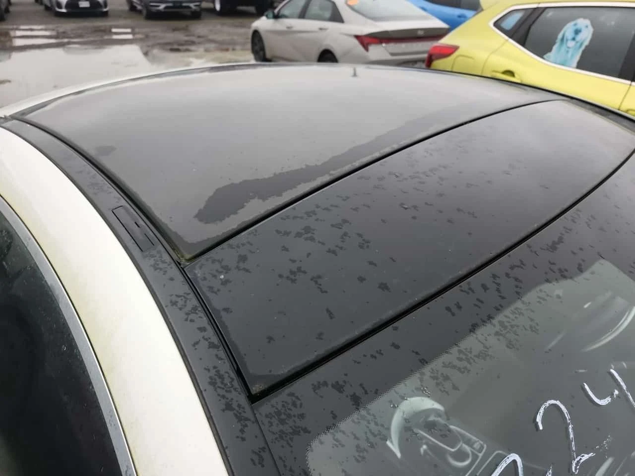 Mercedes-Benz C 300 * 4MATIC* BURMESTER* ��������* ��������*  | Mobile.bg � ����������� 16