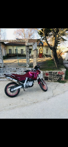  Aprilia Pegaso