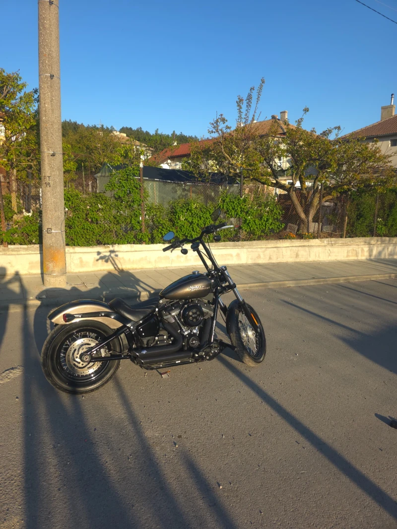 Harley-Davidson Softail STREET BOB FXBB 2020, снимка 5 - Мотоциклети и мототехника - 52046945