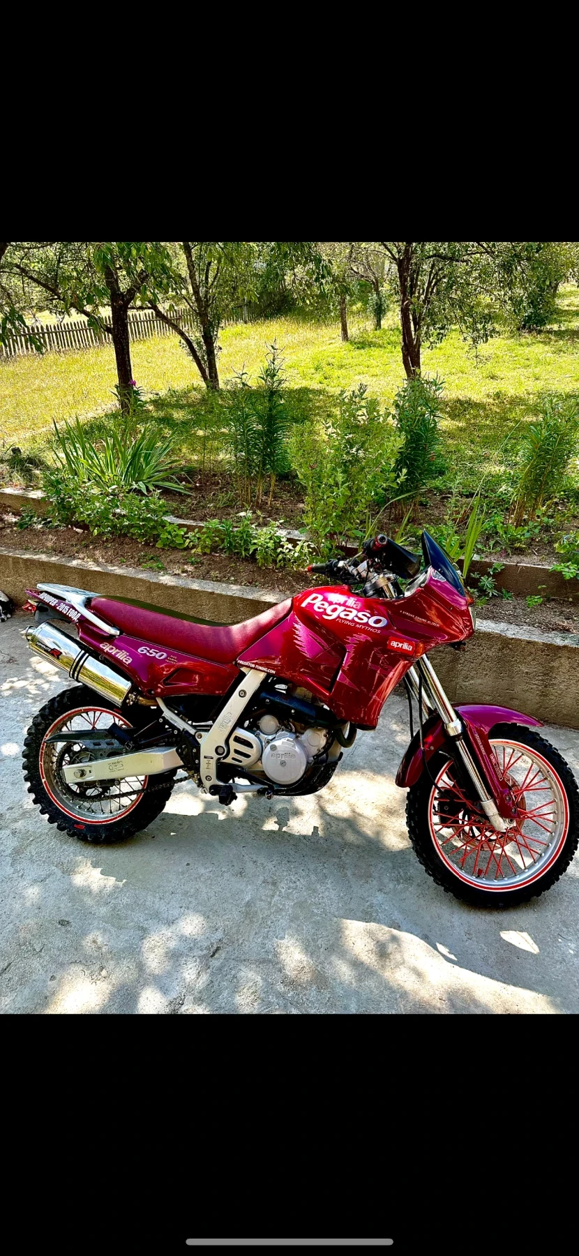 Aprilia Pegaso  - изображение 2