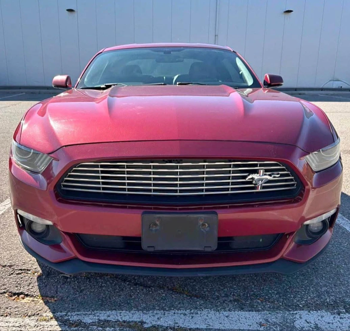 Ford Mustang Ecoboost * * ��������� * * CARFAX * * ���� ������  | Mobile.bg � ����������� 2