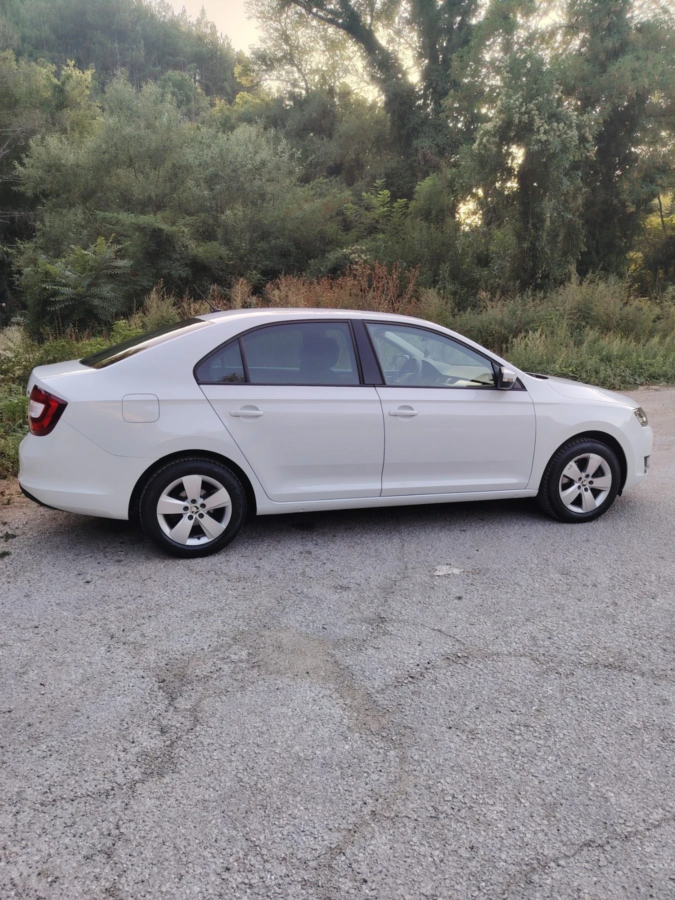 Skoda Rapid, снимка 3 - Автомобили и джипове - 55848884