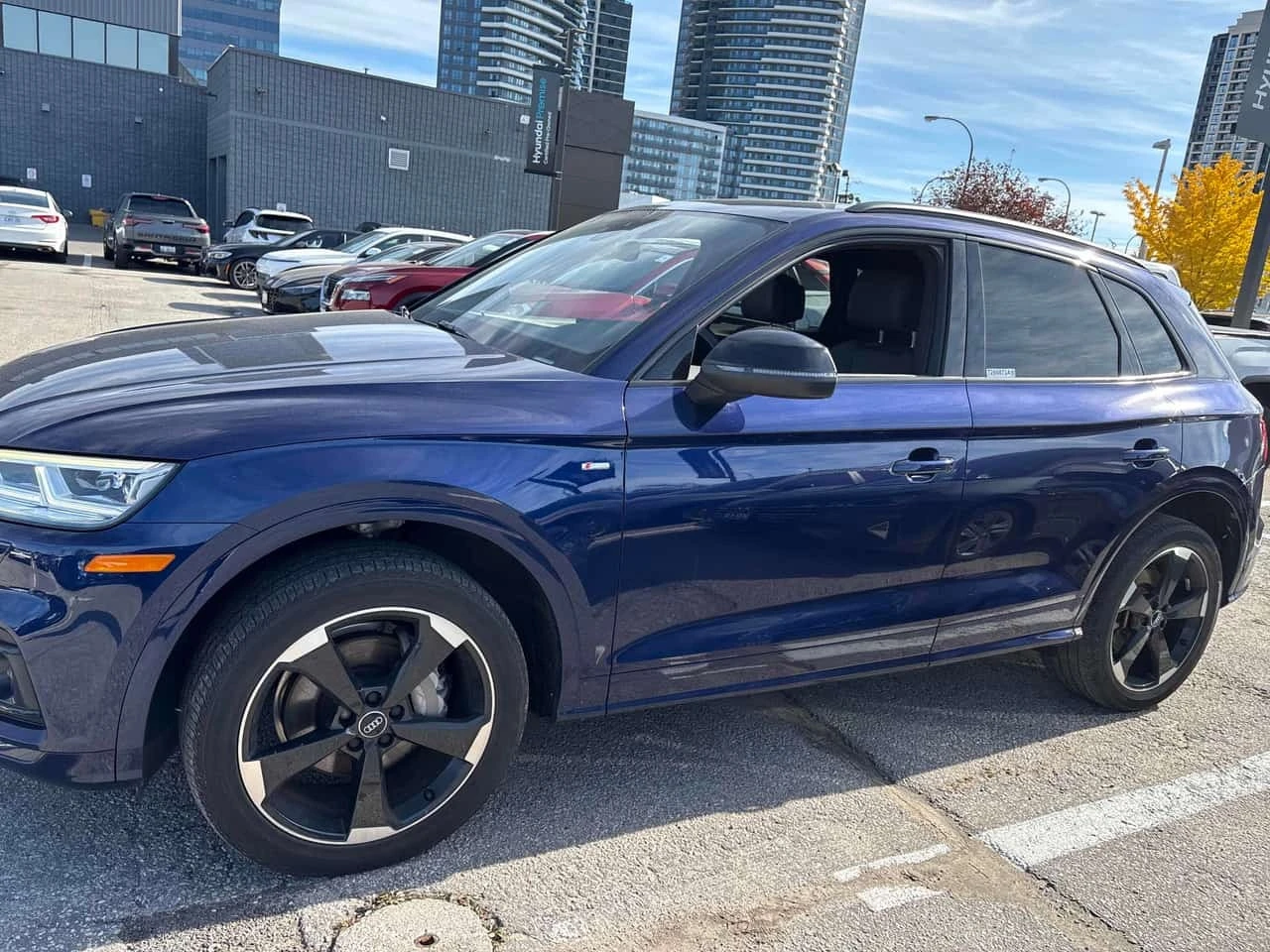 Audi Q5 PROGRESSIV/CARFAX/���������/����/�������/���� | Mobile.bg � ����������� 2