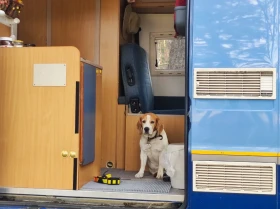 Кемпер Peugeot, снимка 8